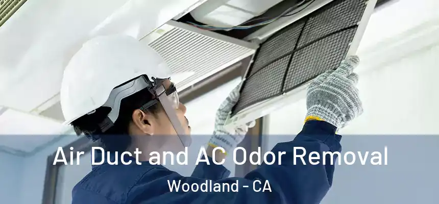 Air Duct and AC Odor Removal Woodland - CA