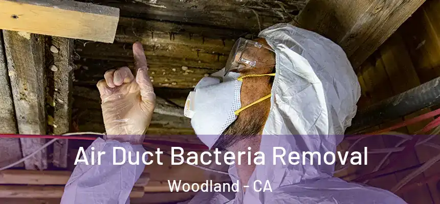  Air Duct Bacteria Removal Woodland - CA