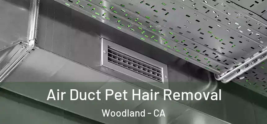 Air Duct Pet Hair Removal Woodland - CA