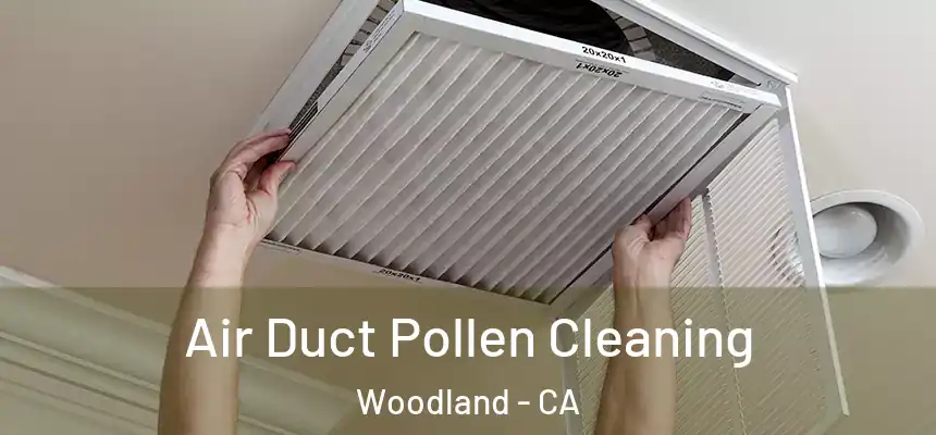  Air Duct Pollen Cleaning Woodland - CA