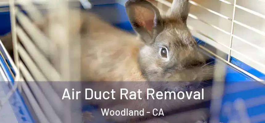 Air Duct Rat Removal Woodland - CA