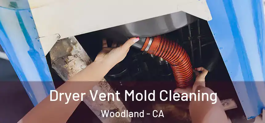  Dryer Vent Mold Cleaning Woodland - CA
