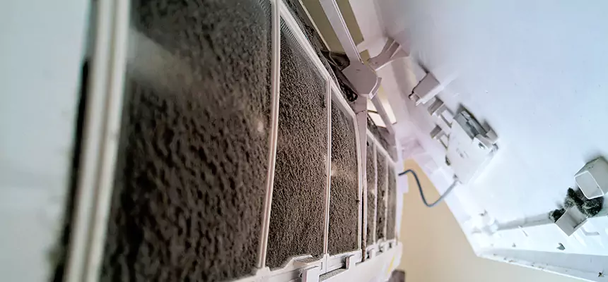 Preventive Air Duct Bacteria Removal in Woodland