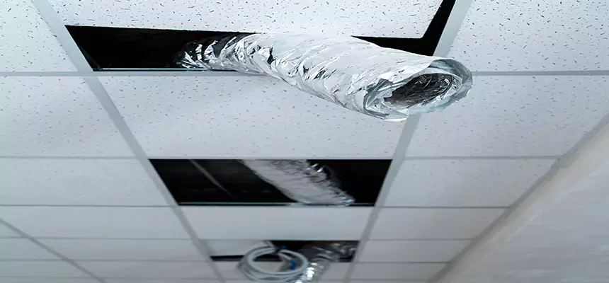 Affordable HVAC Sanitizing After Pest Removal in Woodland