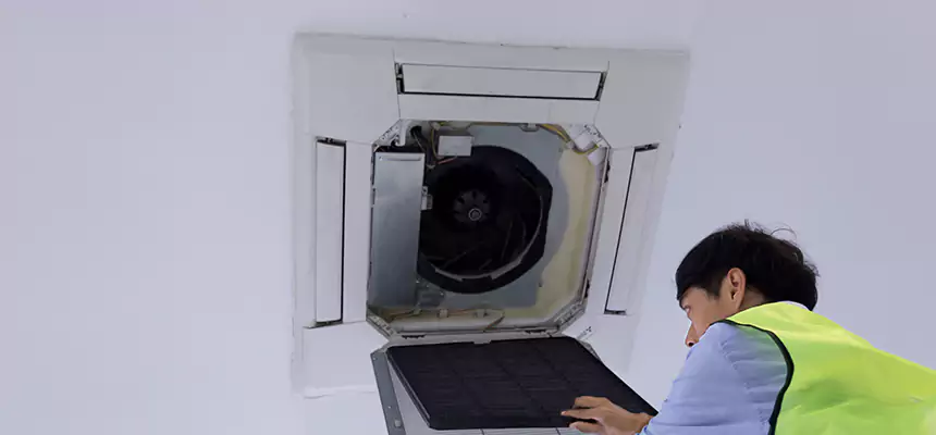 Our Dryer Vent Sanitization Service Services in Woodland, CA