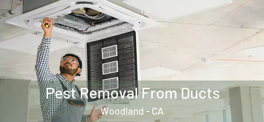 Pest Removal From Ducts Woodland - CA