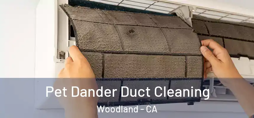 Pet Dander Duct Cleaning Woodland - CA