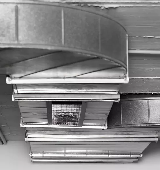 Professional Air Duct Pet Hair Removal in Woodland, CA