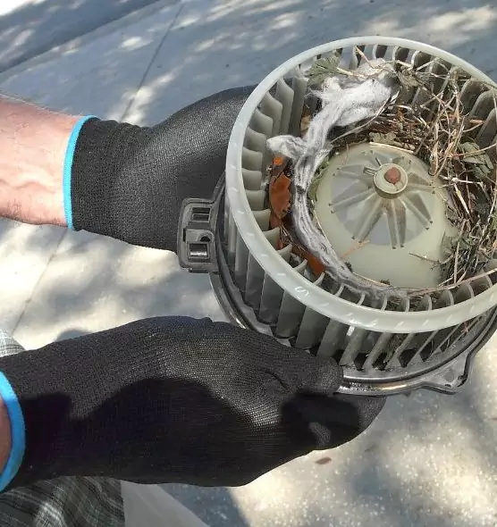 About Air Duct Rat Removal in Woodland, CA