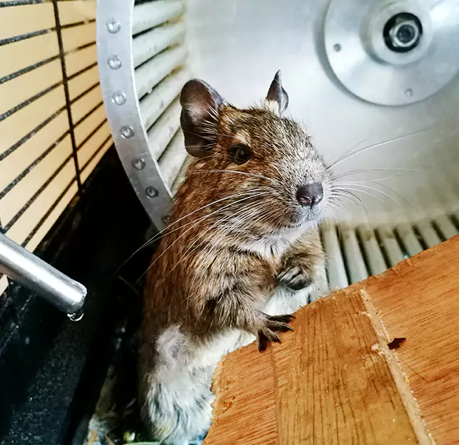 Why Homeowners & Businesses Trust Us Woodland, CA?