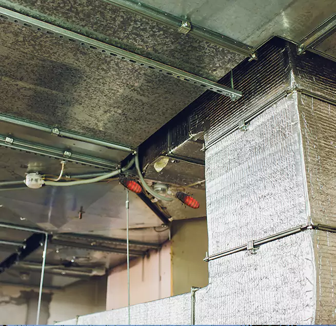 Why Homeowners & Businesses Trust Us Woodland, CA?